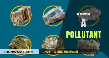 Asbestos: A Hazardous Air Pollutant?
