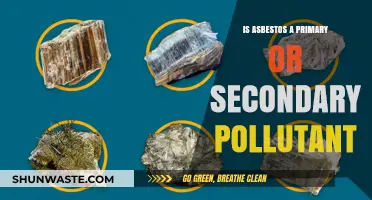 Asbestos: Primary or Secondary Pollutant?
