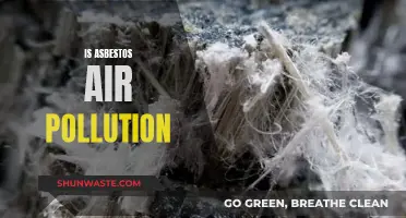 Asbestos Air Pollution: A Hidden Danger?