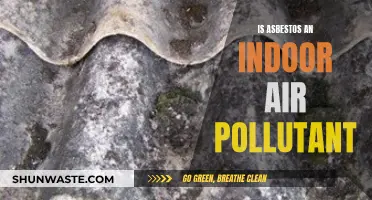 Asbestos: An Indoor Air Quality Concern?