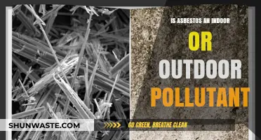 Asbestos: An Indoor and Outdoor Air Pollutant