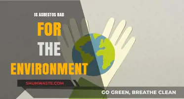 Asbestos Environmental Impact: Harmful Effects and Ecological Consequences Explained