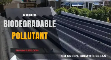 Asbestos: Biodegradable or Not?
