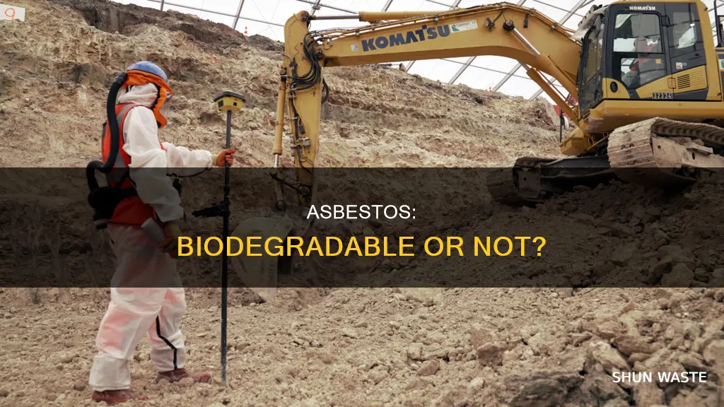 is asbestos biodegradable pollutant