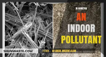 Asbestos: An Indoor Pollutant?