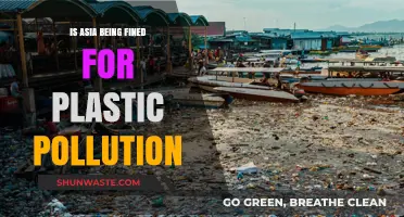 Plastic Pollution: Asia's Fines and Environmental Concerns