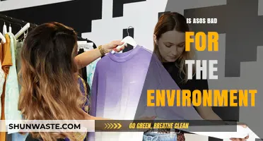 Is ASOS Harming Our Planet? Uncovering Its Environmental Impact