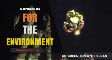 Asparagus and the Environment: Uncovering Its Ecological Impact and Sustainability
