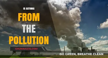 How Pollution Triggers Asthma: A Complex Link