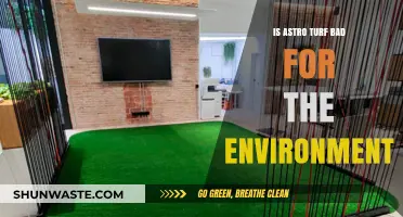 Astro Turf's Environmental Impact: Sustainable Choice or Ecological Hazard?