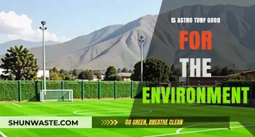 Is Astro Turf Eco-Friendly? Uncovering Its Environmental Impact and Benefits