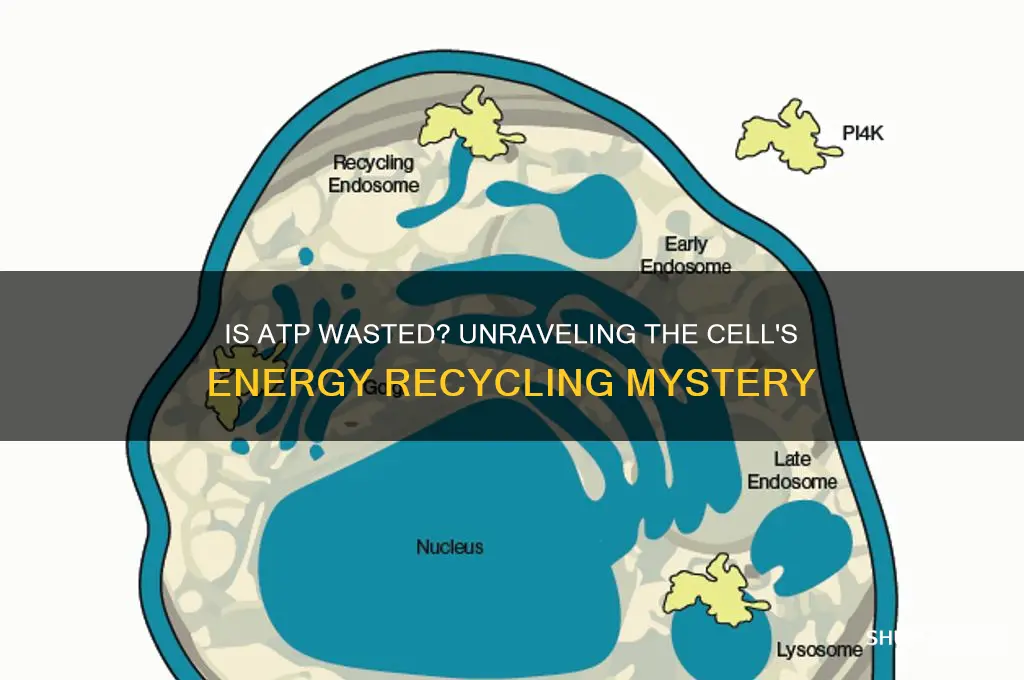is atp discarded by the cell as waste