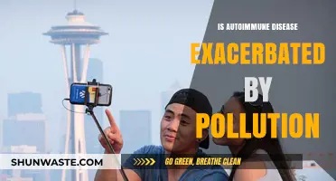 Autoimmune Diseases: Pollution's Impact and Exacerbation Explored