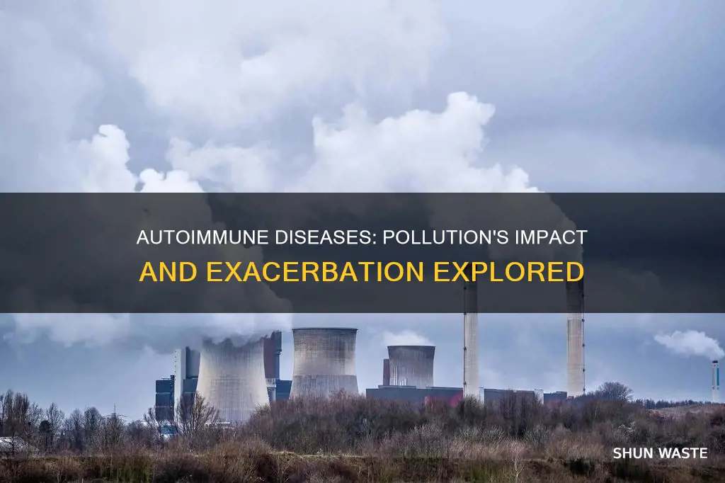 is autoimmune disease exacerbated by pollution
