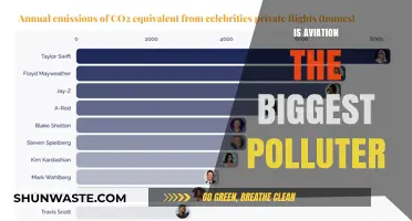 Aviation's Pollution Problem: Who's the Worst Offender?