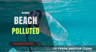 Avila Beach: A Polluted Paradise?