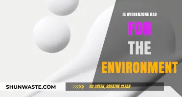 Avobenzone's Environmental Impact: Harmful or Harmless for Ecosystems?