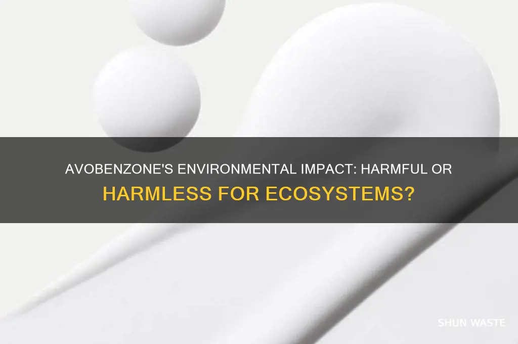 is avobenzone bad for the environment