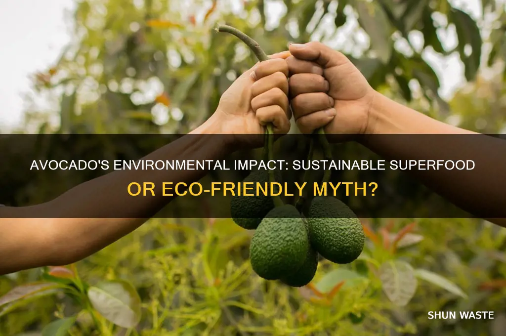 is avocado bad for environment
