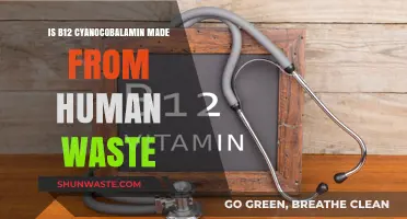 Is Cyanocobalamin Derived from Human Waste? Uncovering B12's Origins