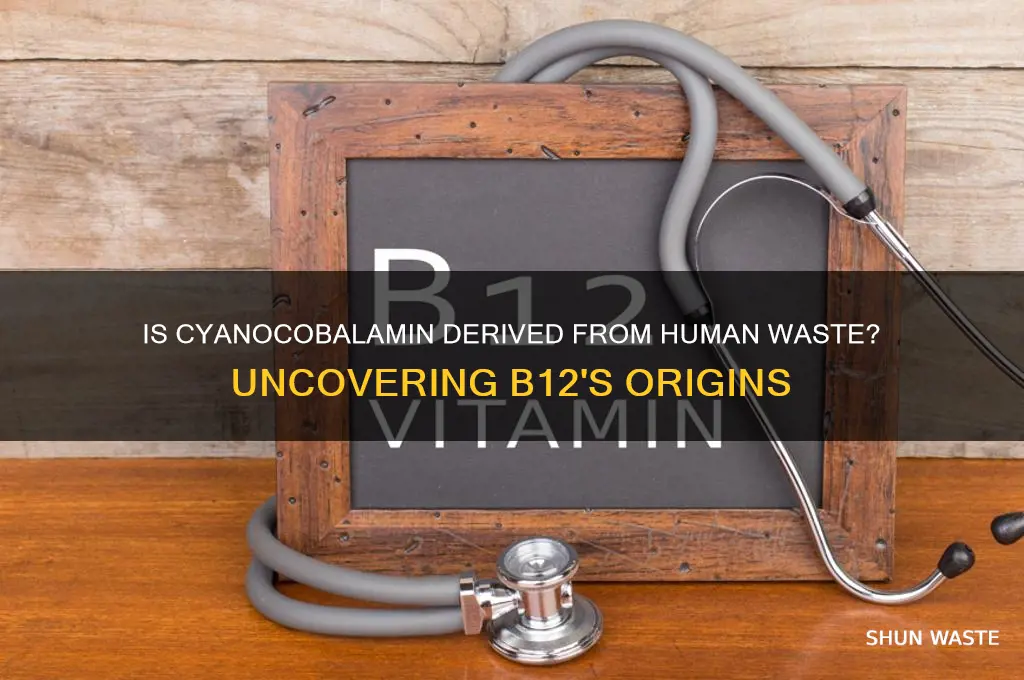 is b12 cyanocobalamin made from human waste