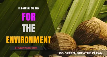 Babassu Oil's Environmental Impact: Sustainable or Harmful for Our Planet?