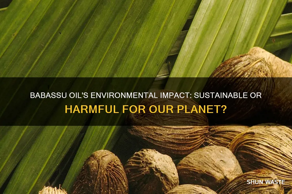 is babassu oil bad for the environment