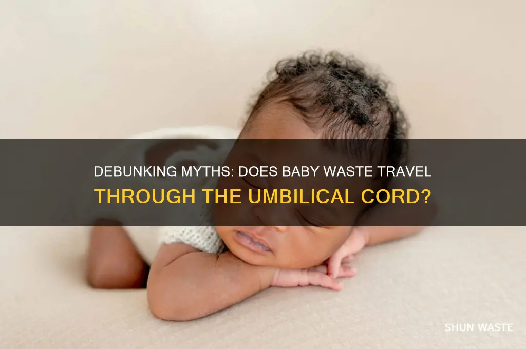 is baby waste sent through umbilival cord
