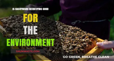 Backyard Beekeeping: Eco-Friendly Hobby or Environmental Concern?