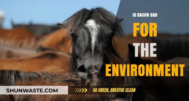 Bacon's Environmental Impact: Uncovering the Hidden Costs of a Beloved Food