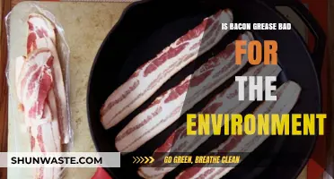 Bacon Grease's Environmental Impact: Sustainable or Harmful Choice?