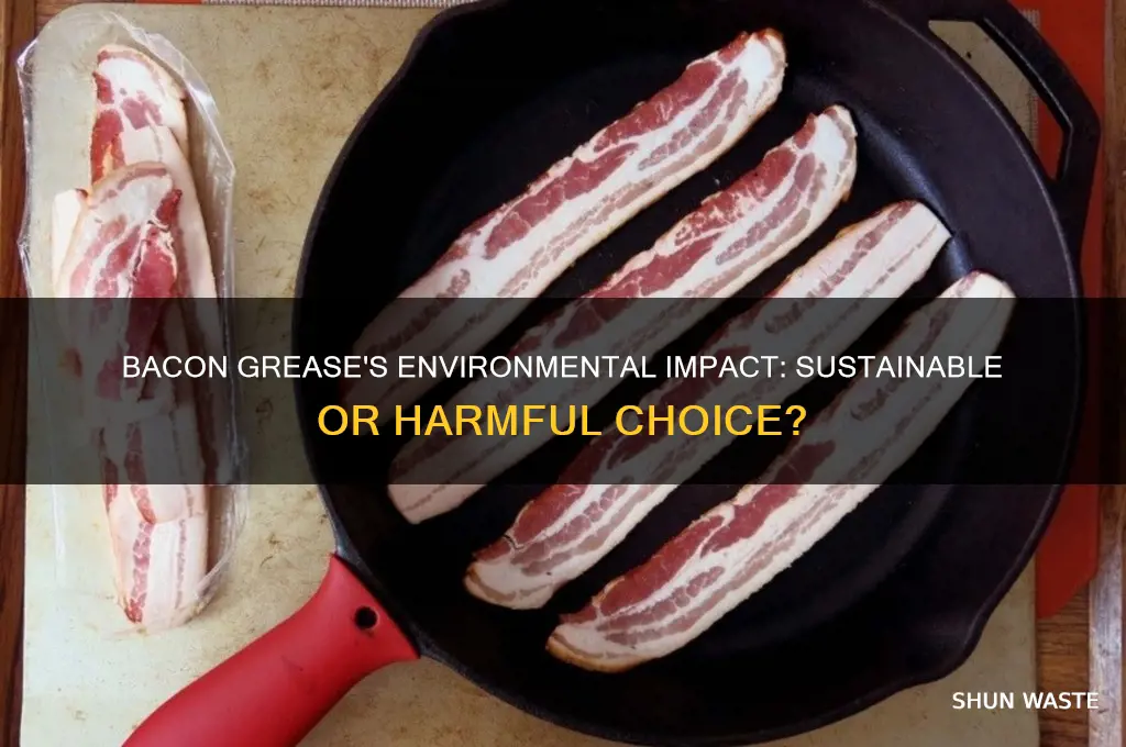 is bacon grease bad for the environment