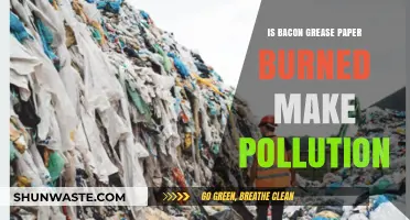 How Bacon Grease Affects Air Quality
