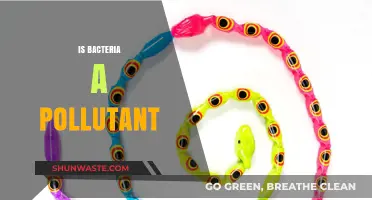 Bacteria: Pollutant or Not?