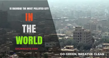 Baghdad's Air: World's Most Polluted?
