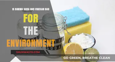 Eco-Friendly Cleaning: Are Baking Soda and Vinegar Harmful to Nature?