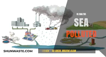 Baltic Sea Pollution: A Troubling Reality