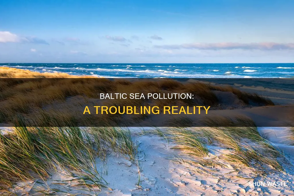is baltic sea polluted