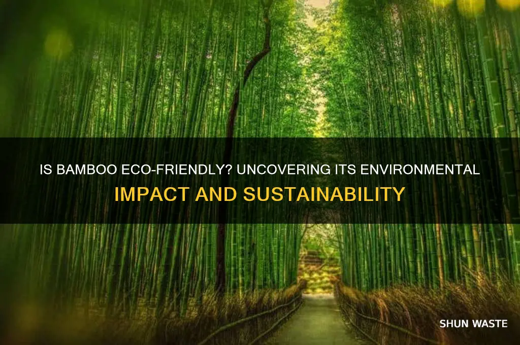 is bamboo bad for the environment