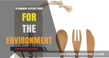 Eco-Friendly Dining: Bamboo Cutlery's Environmental Impact Explained