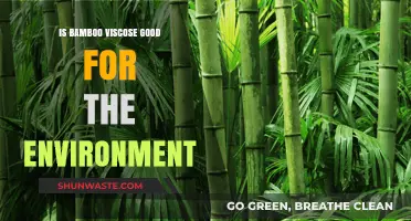 Is Bamboo Viscose Eco-Friendly? Uncovering Its Environmental Impact