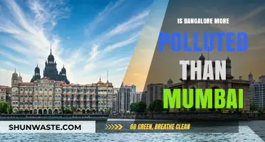 Bangalore vs Mumbai: Which City Has Dirtier Air?