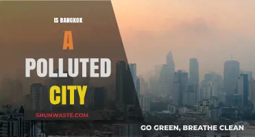 Bangkok's Pollution Problem: A City's Struggle