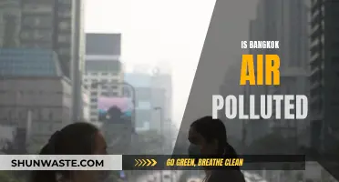 Bangkok's Air Quality: Is It Safe to Breathe?