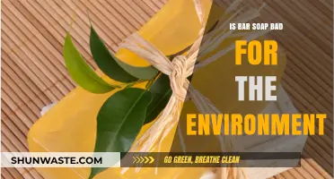 Is Bar Soap Eco-Friendly? Uncovering Its Environmental Impact