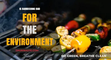 Is Barbecuing Harming Our Planet? Exploring the Environmental Impact