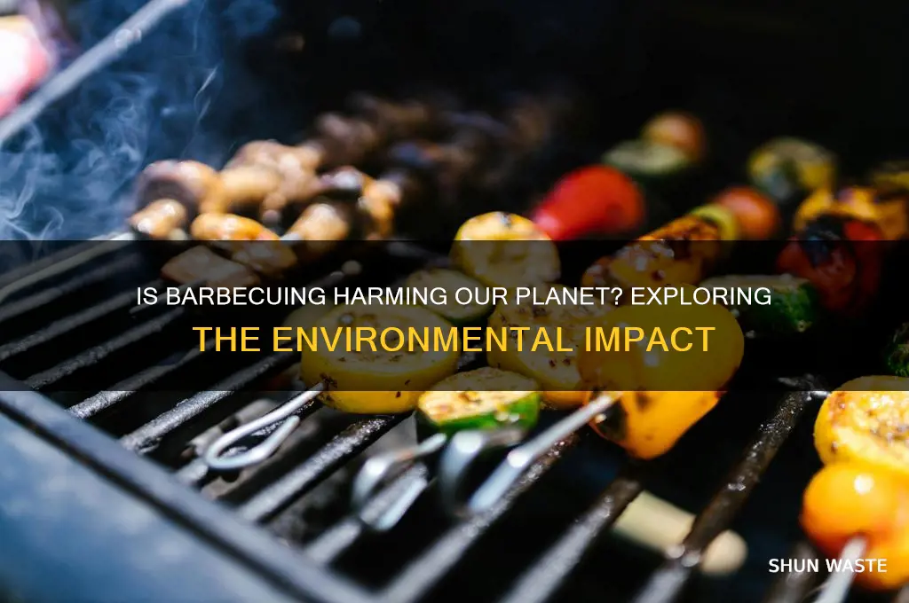is barbecuing bad for the environment