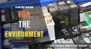 Environmental Impact of Battery Acid: Harmful Effects and Eco-Friendly Solutions