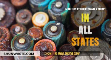 Is Battery by Bodily Waste a Felony Nationwide? Legal Insights