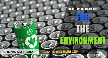 Battery Recycling: Eco-Friendly Solution or Environmental Hazard?